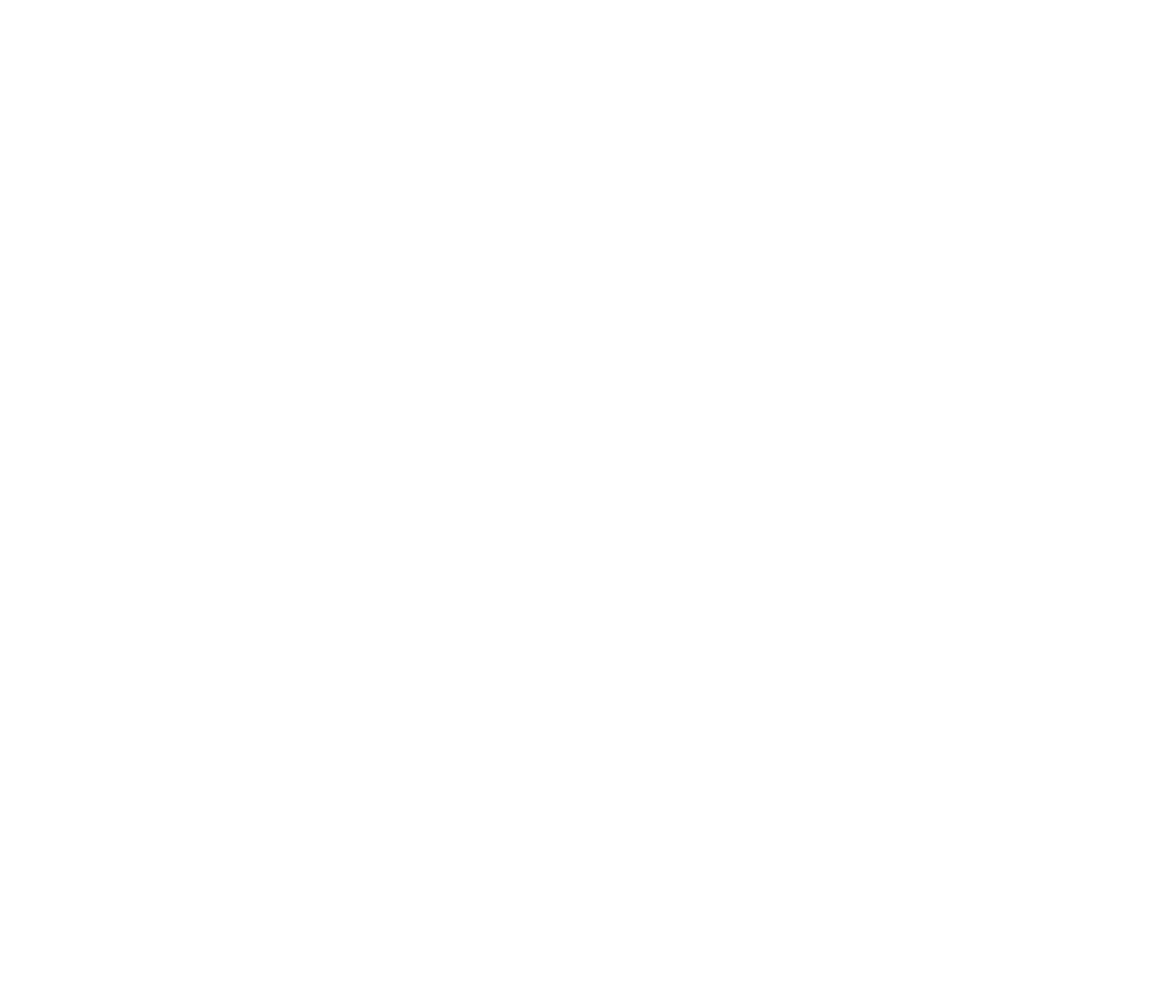 Video icon